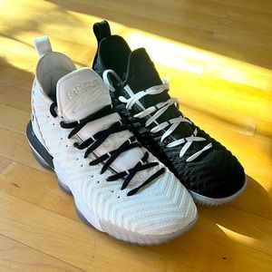 Nike Lebron 16 Equality size 10.5